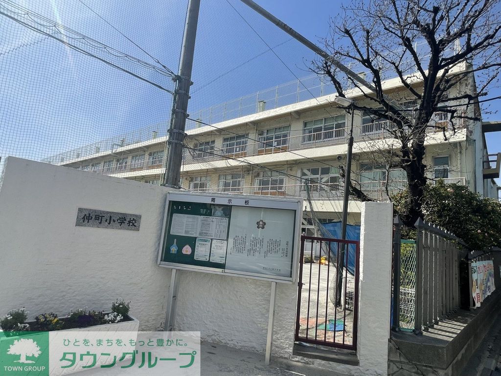 小学校　仲町小学校（小学校）まで490m