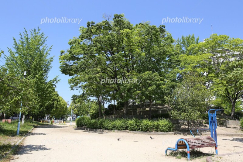 【シャトー弁天弐番館の公園】