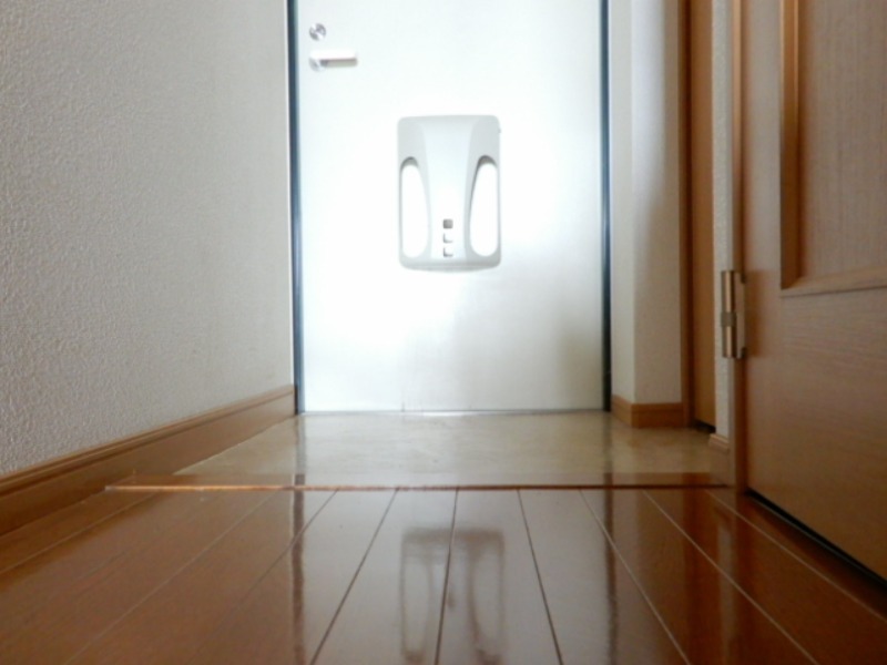 玄関　図面と現状に相違がある場合には現状を優先