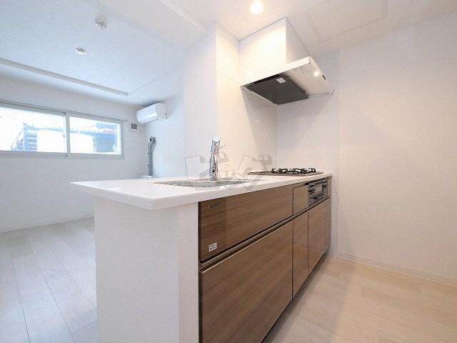 キッチン　嬉しいシステムキッチン付きです♪コンロを買わなくてもOK♪