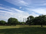 公園　木場公園（公園）まで204m
