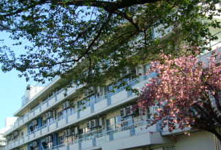 小学校　港区立青南小学校（小学校）まで889m