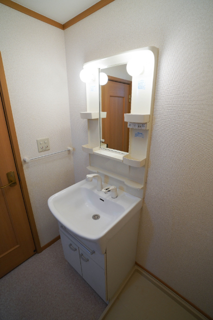 洗面設備　同じ建物の別の部屋