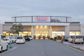 スーパー　マックスバリュイオンタウン水島店（スーパー）まで1353m