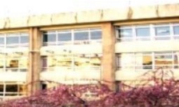 小学校　新宿区立戸塚第二小学校（小学校）まで251m