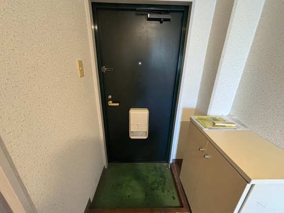 玄関　※別部屋の写真です