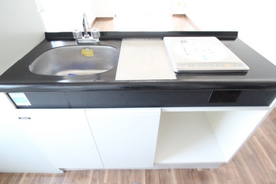 キッチン　※別号室の写真です