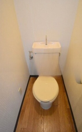 トイレ　他号室のお写真です