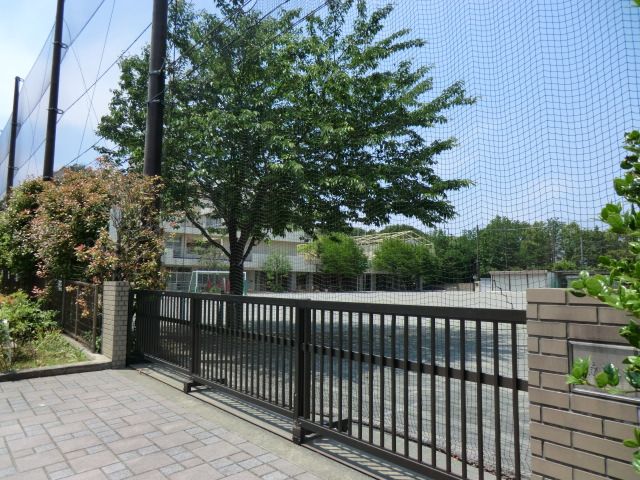 小学校　桂小学校（小学校）まで343m