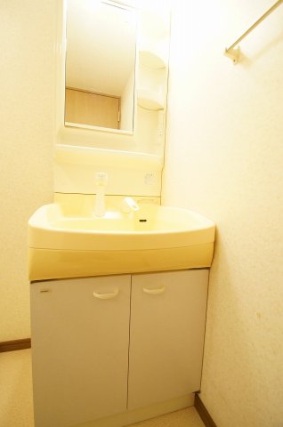 洗面設備　日々の生活に便利な「シャンプードレッサー」