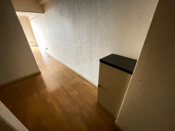 玄関　※別号室のお写真です。