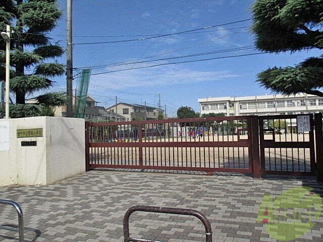 小学校　豊南小学校（小学校）まで255m
