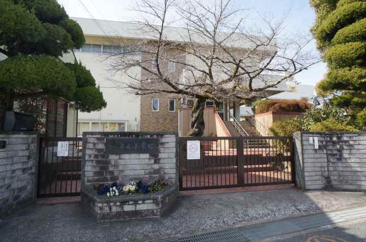 小学校　葛城市立當麻小学校（小学校）まで1492m