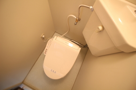 トイレ　※他号室の写真です