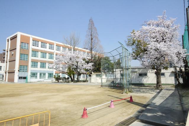 小学校　大宝小学校（小学校）まで299m