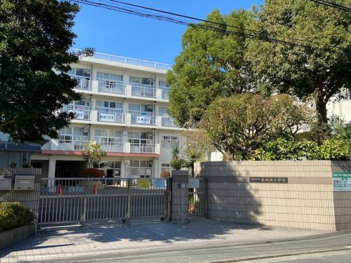 小学校　北綱島小学校（小学校）まで599m