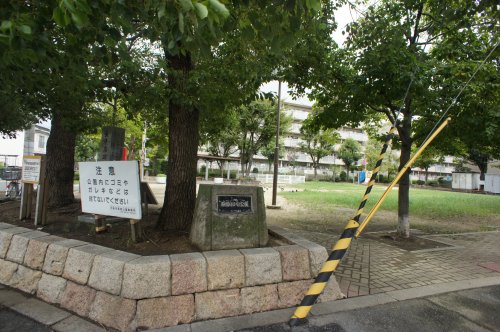 公園　なみはや公園（公園）まで462m