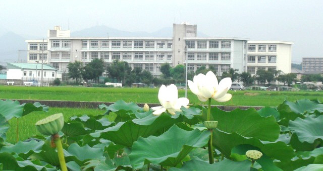 中学校　朝日中学校（中学校）まで1015m