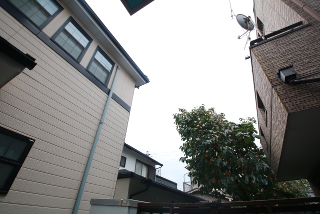 眺望　※別室の参考写真の為、現況優先です。