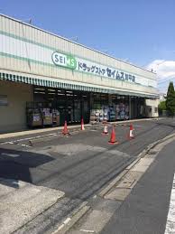 ドラックストア　ドラッグセイムス加平店（ドラッグストア）まで287m