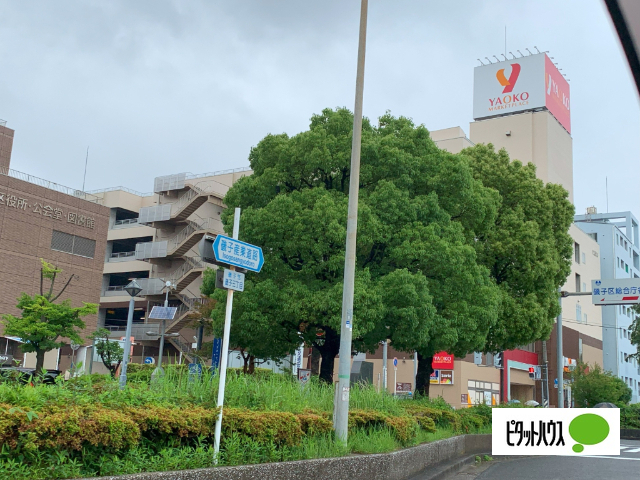 スーパー　ヤオコー横浜磯子店（スーパー）まで218m