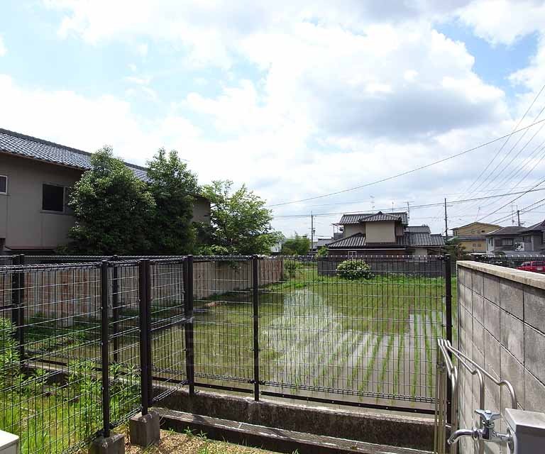 眺望　落ち着いた景色ですね。