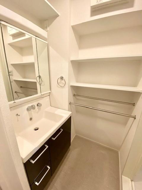 収納　洗髪洗面化粧台