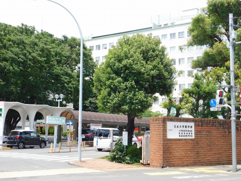 病院　日本大学医学部附属板橋病院（病院）まで1141m