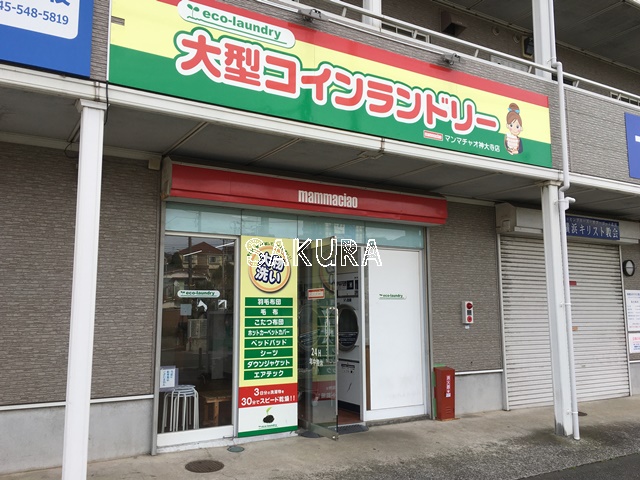 その他　大型コインランドリー マンマチャオ神大寺店（その他）まで880m