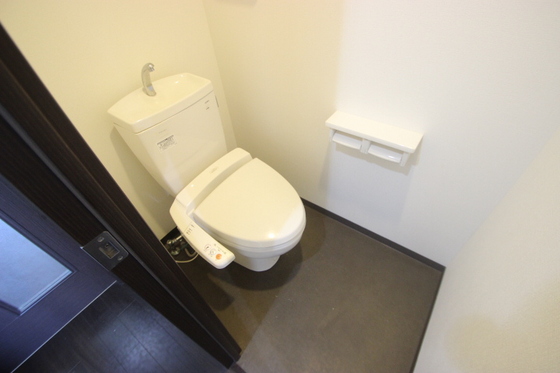 トイレ　※別号室の写真です