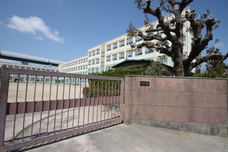 小学校　清水小学校（小学校）まで245m