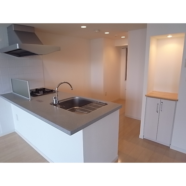 キッチン　※写真は同じマンションの違う部屋のものになります。