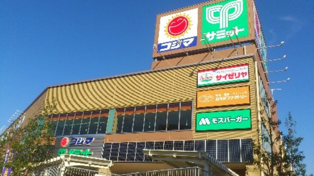 スーパー　サミットストア成城店（スーパー）まで420m