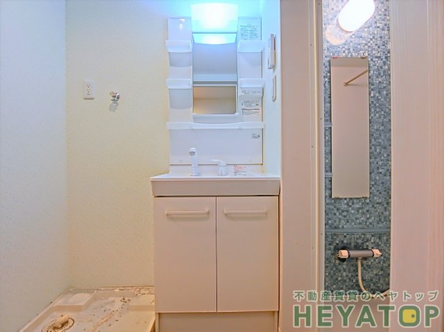 洗面設備　便利なシャワー付き洗面化粧台（同仕様写真）