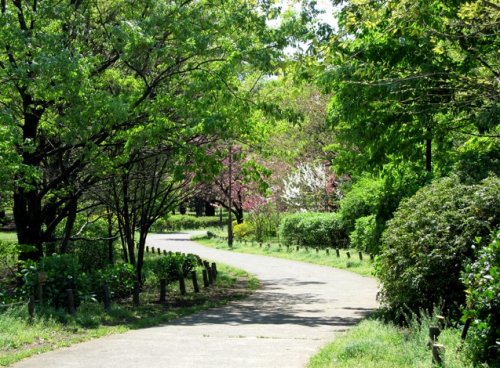 公園　砧公園（公園）まで639m