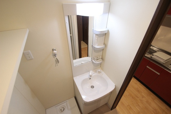 洗面設備　※別号室の写真です
