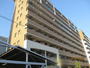 三ノ宮駅より徒歩10分 8階 築19年4ヶ月の賃貸物件