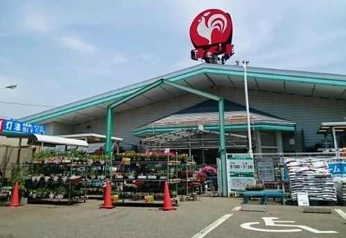 ホームセンター　コメリハード＆グリーン小池店（ホームセンター）まで1800m