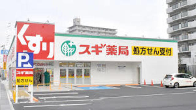 ドラックストア　スギ薬局堺福田店（ドラッグストア）まで1300m