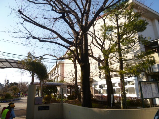 小学校　練馬区立関町北小学校（小学校）まで407m
