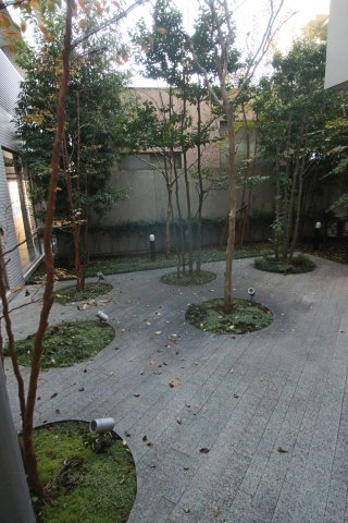 庭
