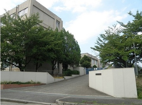 中学校　堺市立晴美台中学校（中学校）まで1253m