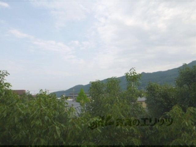 眺望　嵐山を木々越しに望む