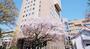 大学・短大　私立日本女子大学人間社会学部（大学・短大）まで2036m