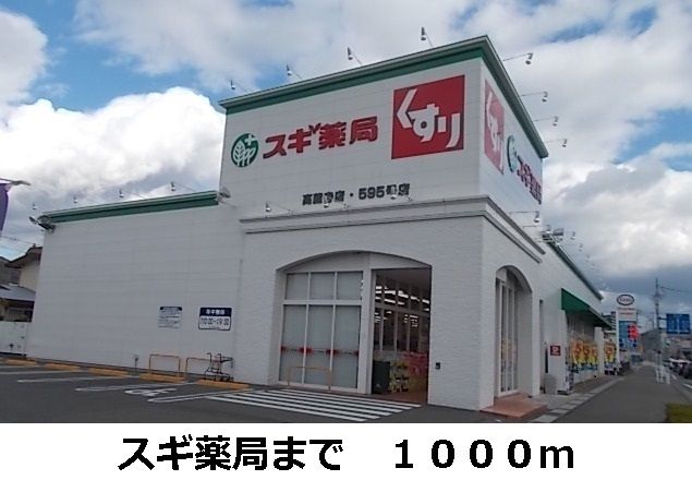 ドラックストア　スギ薬局（ドラッグストア）まで1000m
