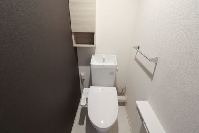 D Paina 鴨居IIのトイレ写真