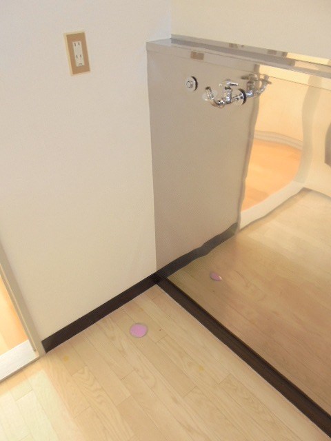 その他設備　洗濯機置き場 写真は103号室です（参考）