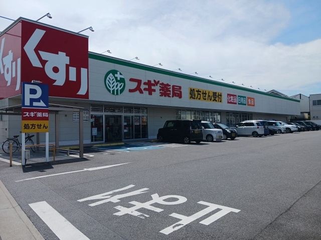 ドラックストア　スギ薬局 針崎店（ドラッグストア）まで1000m