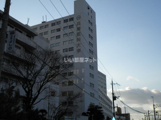 大学・短大　私立兵庫医科大学（大学・短大）まで1395m