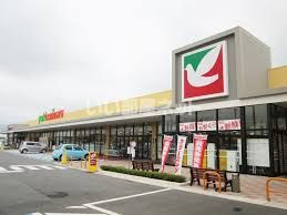 スーパー　ヨークベニマル栃木平柳店（スーパー）まで744m